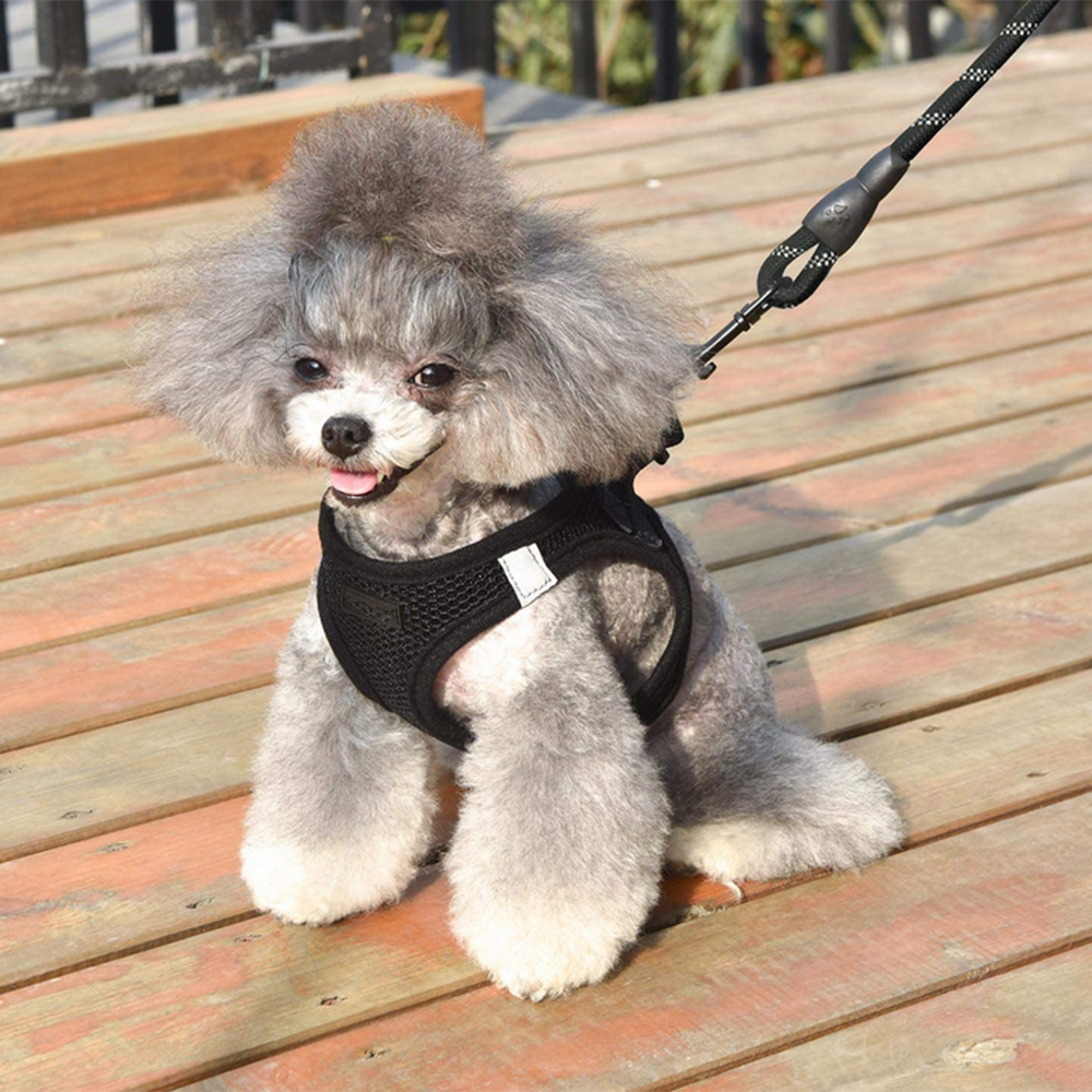 Dog Harness Step-in Breathable Vest Harnesses for Small Medium Dogs - Picture 18 of 30