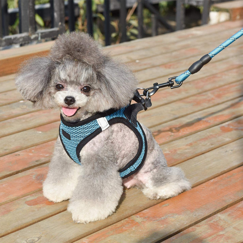 Dog Harness Step-in Breathable Vest Harnesses for Small Medium Dogs - Picture 24 of 30