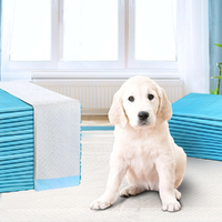 40Pcs Puppy Dog Pet Training Pads 60 x 60cm Super Absorbent Indoor Disposable