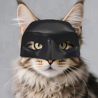 3pcs Cat Mask Cosplay Cat Cosplay Hat Cat Mask For Halloween Cosplay