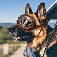2 Pack Dog Goggles for Dogs Retro Pet Sunglasses with PC Lenses and Adjustable Strap-Black