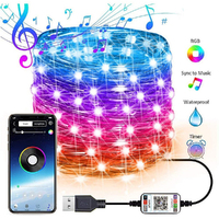 Christmas String Lights Bluetooth APP Control USB Smart Music Background Lights