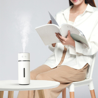 Portable Humidifier Mini Humidifier Adjustable Angle 260ml Water Tank Humidifier