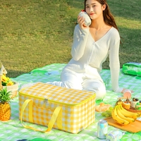Picnic Bag Portable Thermal Insulated Cooler Box Large Outdoor Camping Lunch Bag