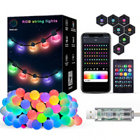 5/10M APP Smart LED String Light Remote Control Waterproof Ball Bulb String Lamp