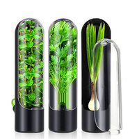 Herb Keeper Herb Saver For Refrigerator For Cilantro Mint Parsley Asparagus