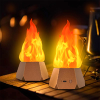 LED Simulation Flame Light Outdoor Waterproof Atmosphere Camping Light USB Nightlight Lamp