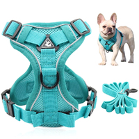Dog Harness Leash Set Adjustable Pet Harness Vest For Small Large Dog Cat-Blue