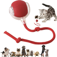 Interactive Electric Smart Pet Chase Ball stimulating Dogs Toy Cat Toy Pet Toy