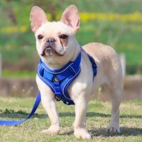 Breathable Mesh Dog cat Harness Reflective Puppy Dogs Cat Vest Harness